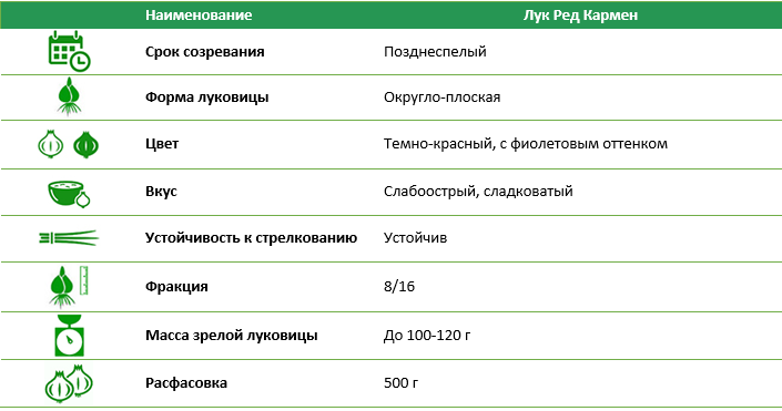 Лук севок Ред Кармен (Red Karmen) 1шт (0,5 кг)