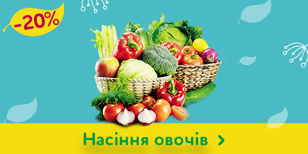 Купити насіння