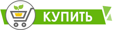 Купить сабо