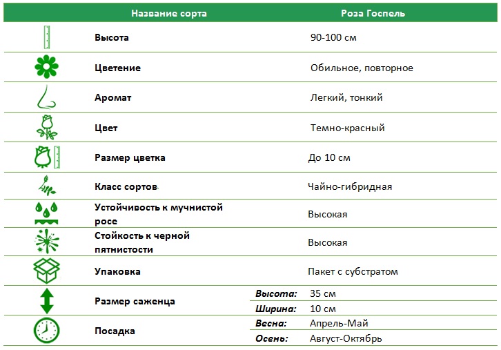 Госпель.jpg