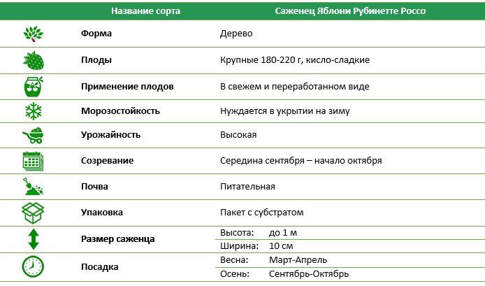 Яблуня Рубінетте Россо