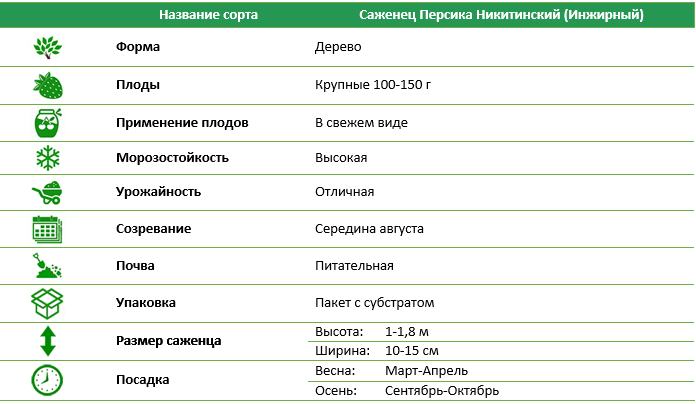 Персик Никитинский (инжирный)
