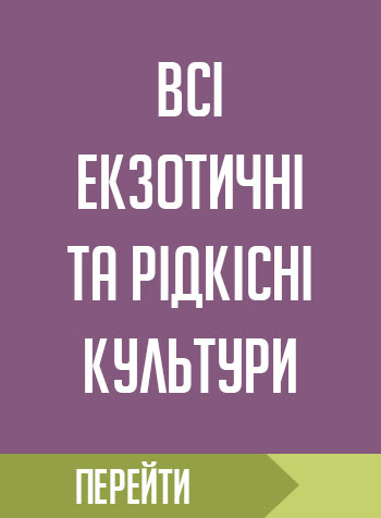 Саджанці екзотичних культук