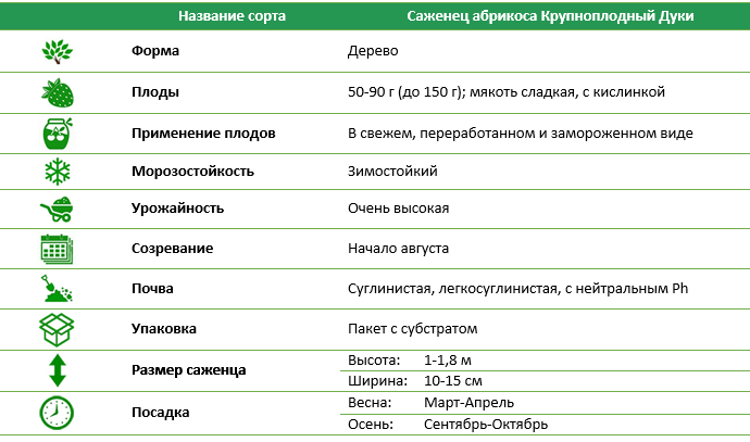 Абрикос Крупноплодный Дуки