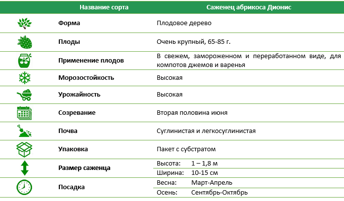 Абрикос Діоніс