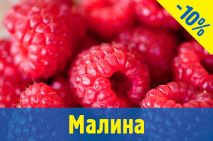 Саджанці малини
