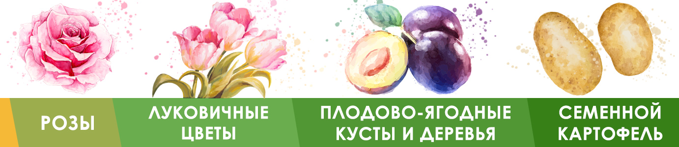Встигніть зловити товари за привабливими цінами