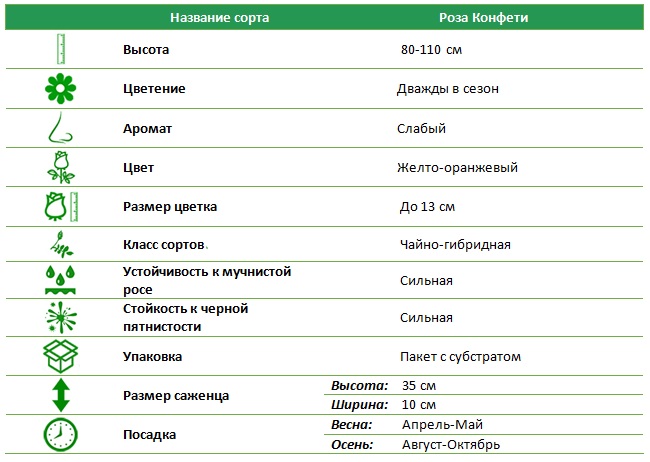 Конфети.jpg