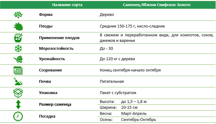 Яблуня Скіфське золото