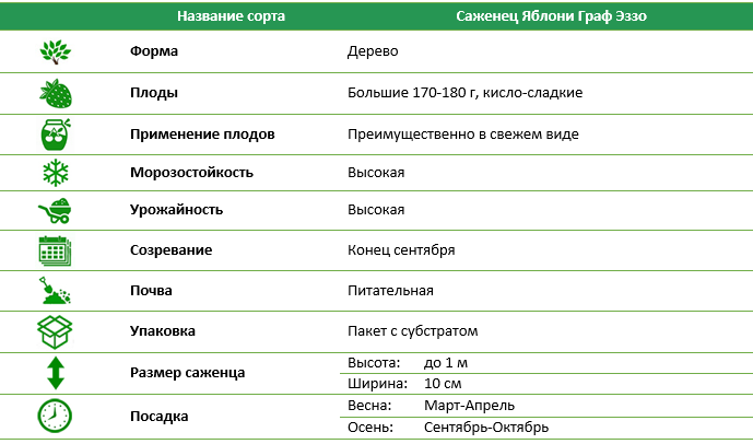 Яблоня Граф Эззо