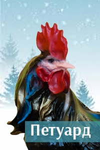 Петуард.jpg