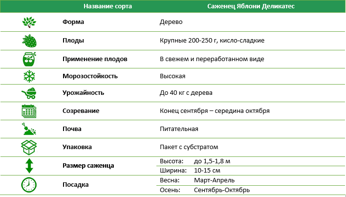 Яблоня Деликатес
