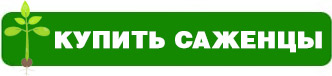 Редкие и диковинные культуры