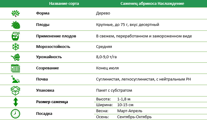 Абрикос Наслаждение