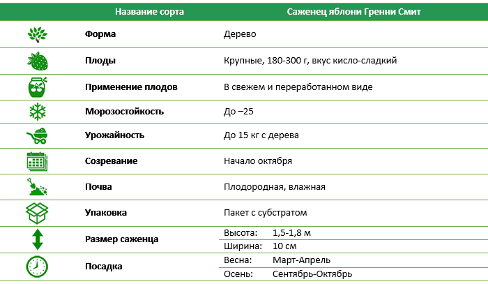 Яблоня Гранни Смит