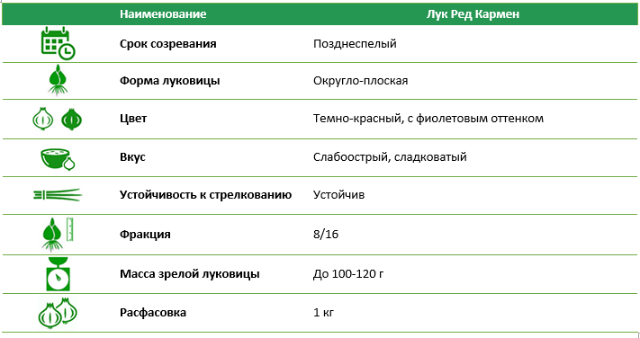 Лук севок Ред Кармен (Red Karmen) 1кг