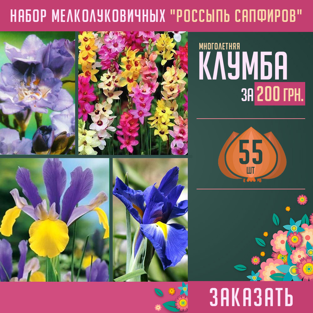 луковицы цветов купить украина