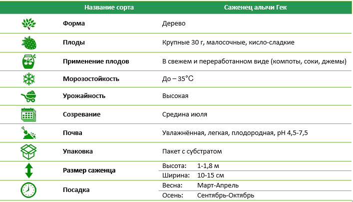 Саженец алычи Гек