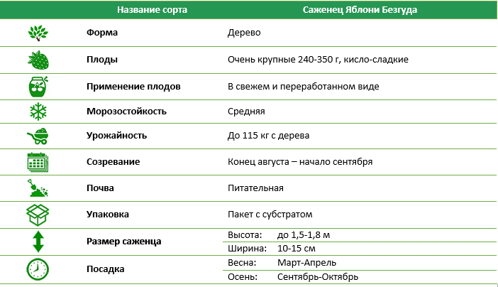 Яблуня Безгуда