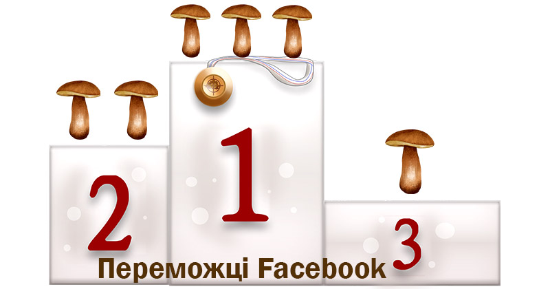 Міцелій грибів