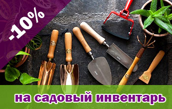 Скидки до -20% к празднику Успения!