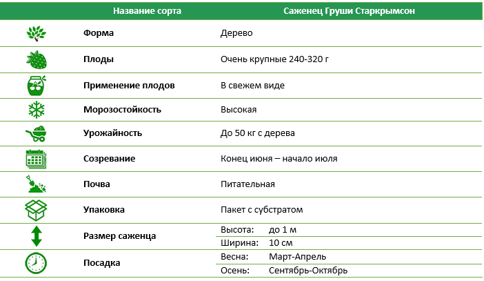 Груша Старкрымсон