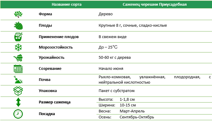 Черешня Приусадебная