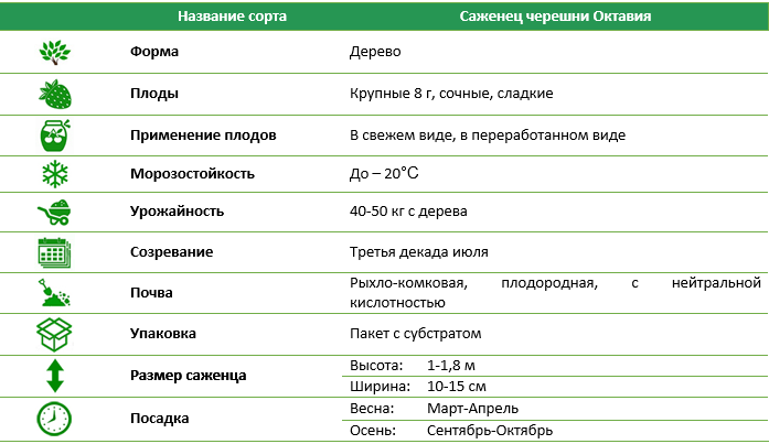 Черешня Октавія