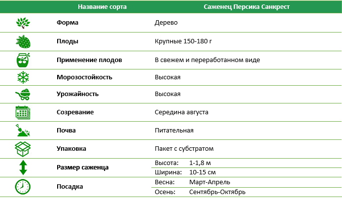 Персик Санкрест