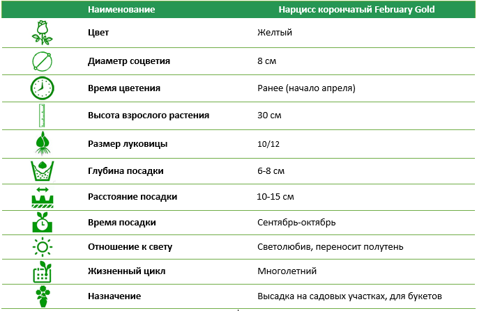 Нарцисc корончатый February Gold