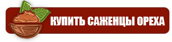 Попередні замовлення на саджанці горіхів
