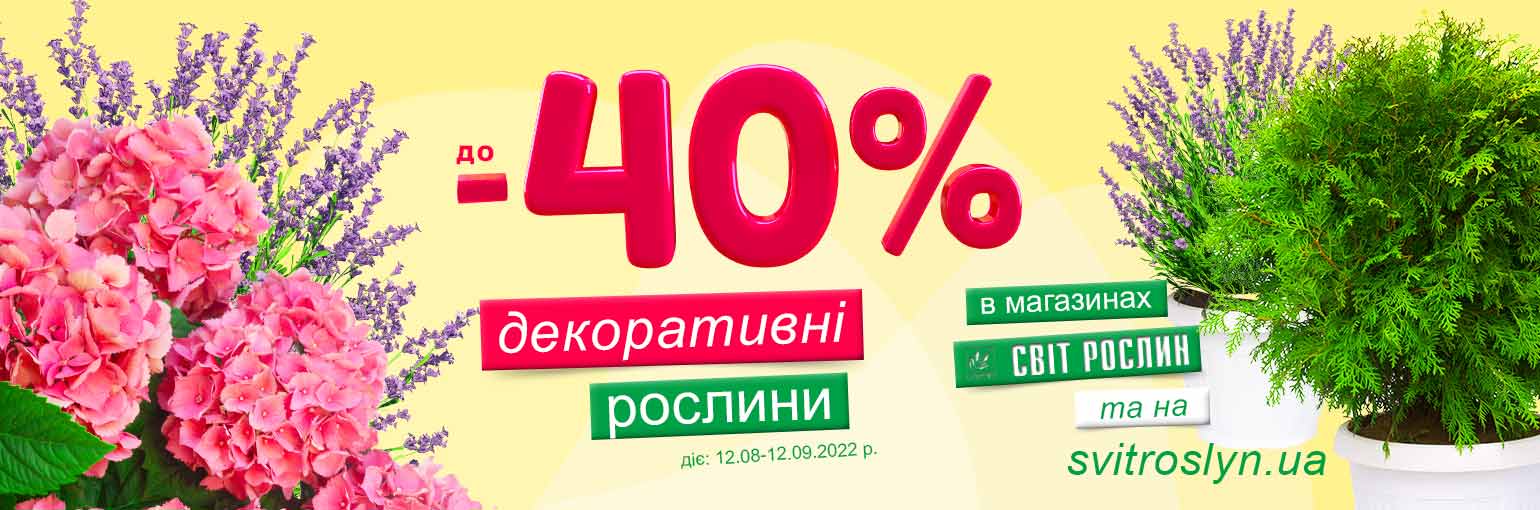 Распродажа саженцев садового центра Распродажа саженцев садового центра