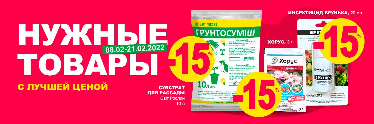 ������� ������ ������