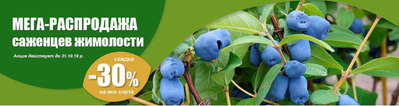 ����-���������� �������� ���������