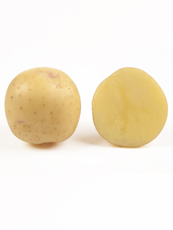 Картопля Електра 1 кг (1 репродукція), фракція 40-60