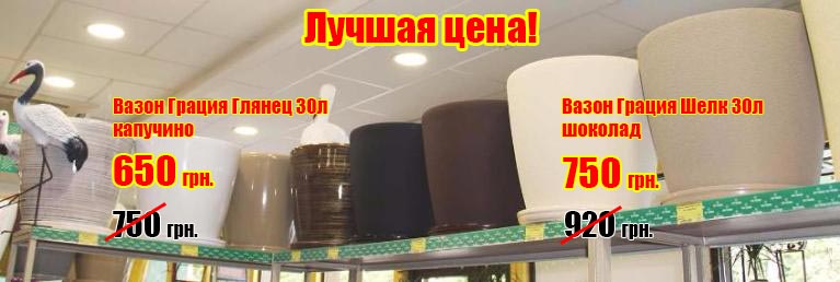 ������ ������ � ������ ���� � ���������!