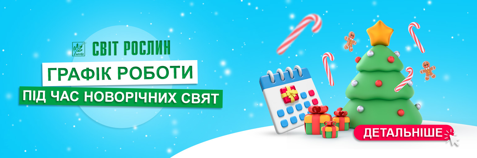 ������ ������ �� ����� ���������� ����������