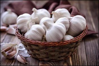 ������ � ����� �������� ����� � ��������-��������! 