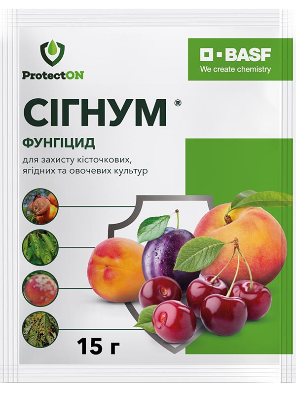 �������� ������ 15 �