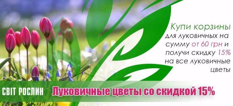 �����! 15% ������ �� ���������� �����.