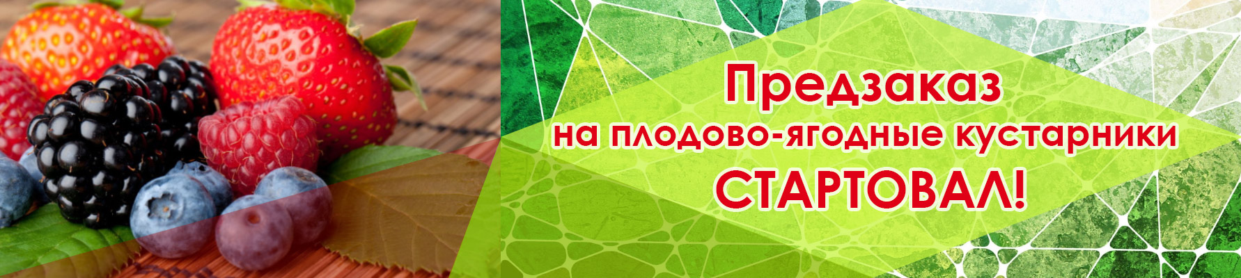 ��������� �� �������-������� ���������� ���������!