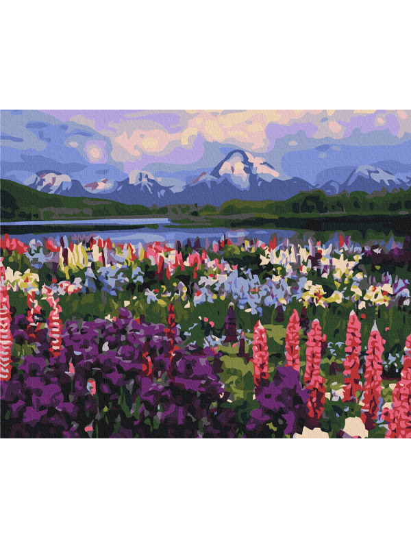       40*50  (BS21019)