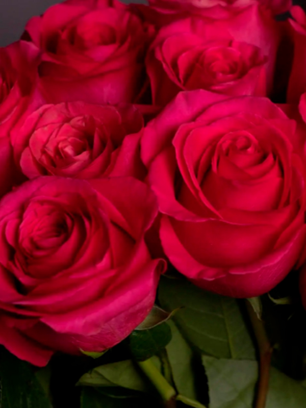 ���� ���� ����� (Pink Floyd) �����-���������