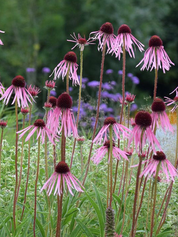 �������� ������ �9