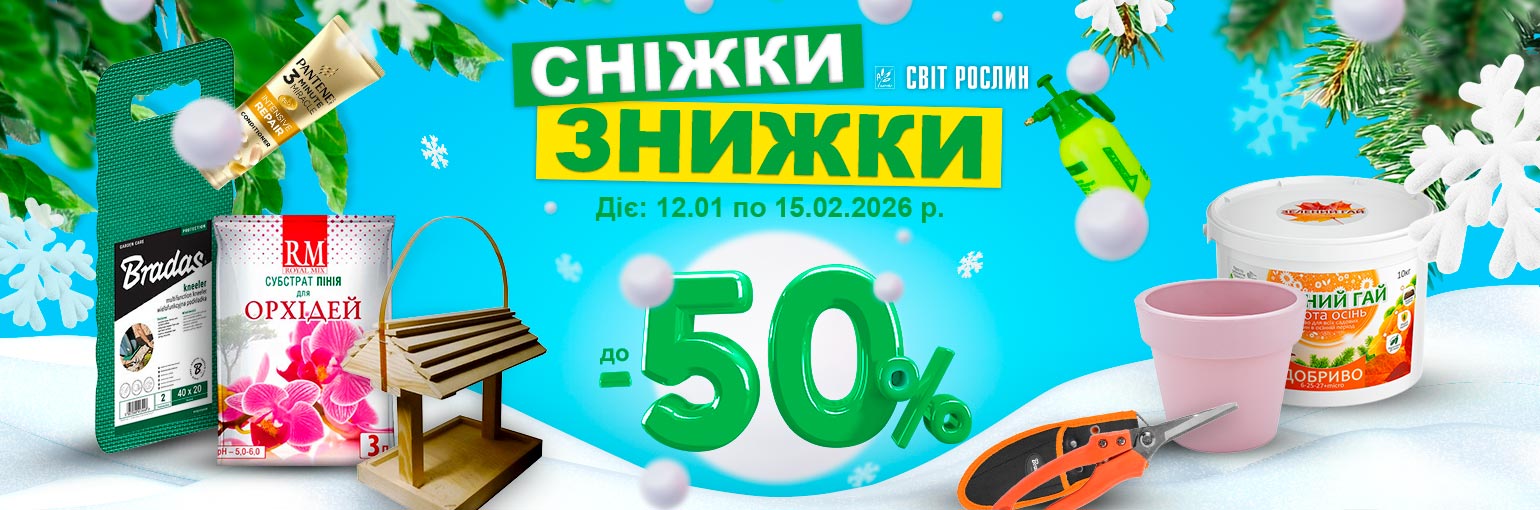 ������ ������ �� -50%