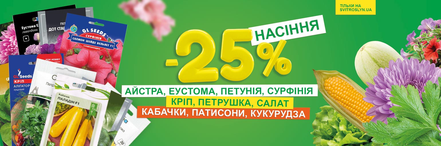 ������ ���������� � ����� � ������� -25%