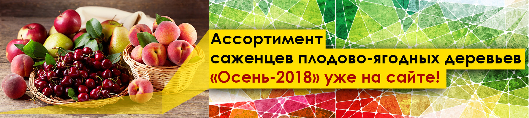 Ассортимент саженцев плодовых деревьев «Осень-2018» уже на сайте! Ассортимент саженцев плодовых деревьев «Осень-2018» уже на сайте!
