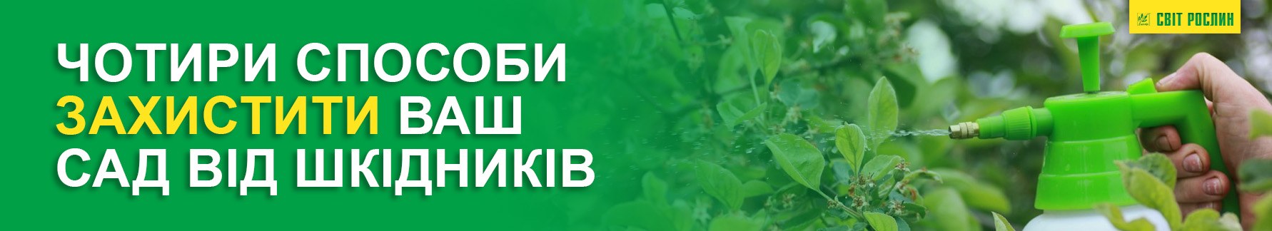 Четыре способа защитить ваш сад от вредителей Четыре способа защитить ваш сад от вредителей