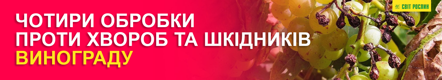 Четыре обработки против болезней и вредителей винограда Четыре обработки против болезней и вредителей винограда
