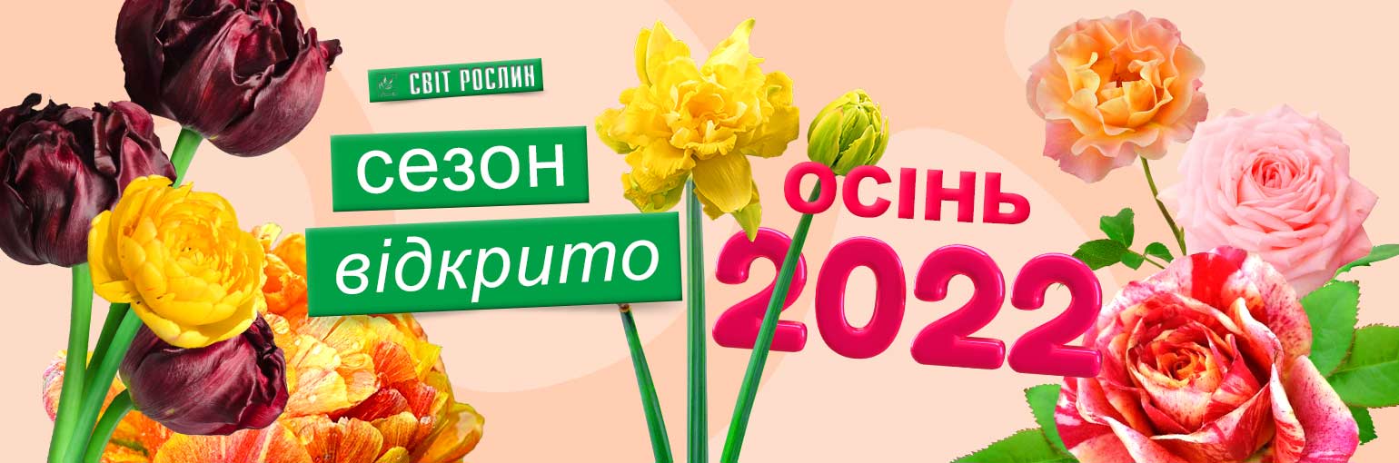 Оголошуємо сезон "Осінь 2022" відкритим